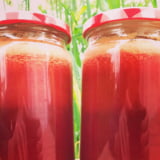 Watermelon Juice or Popsicles