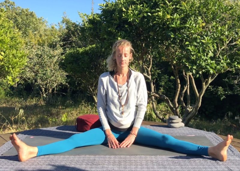 Yin Yoga - Kidney and Urinary Bladder Meridians