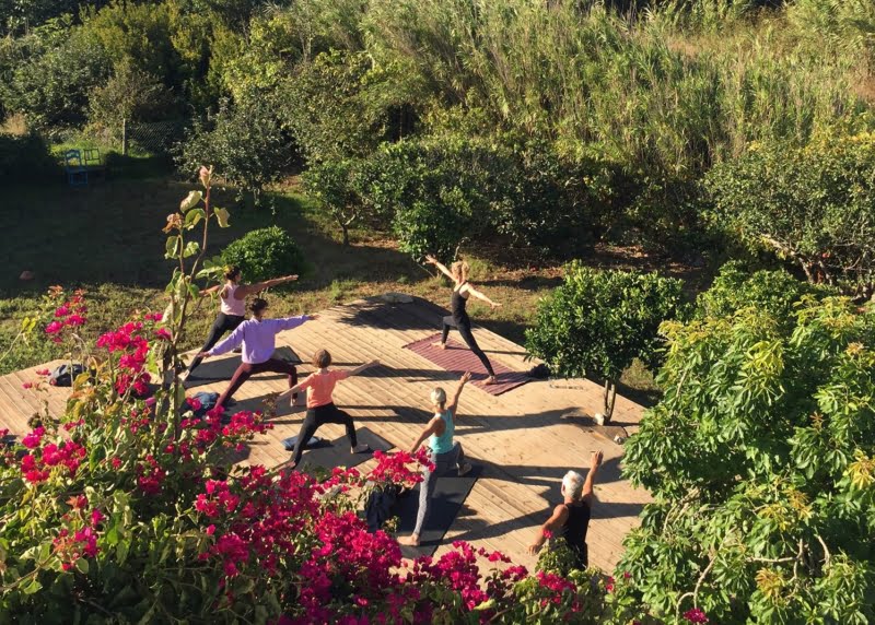 Wolfs Yoga Retreats Portugal, Algarve