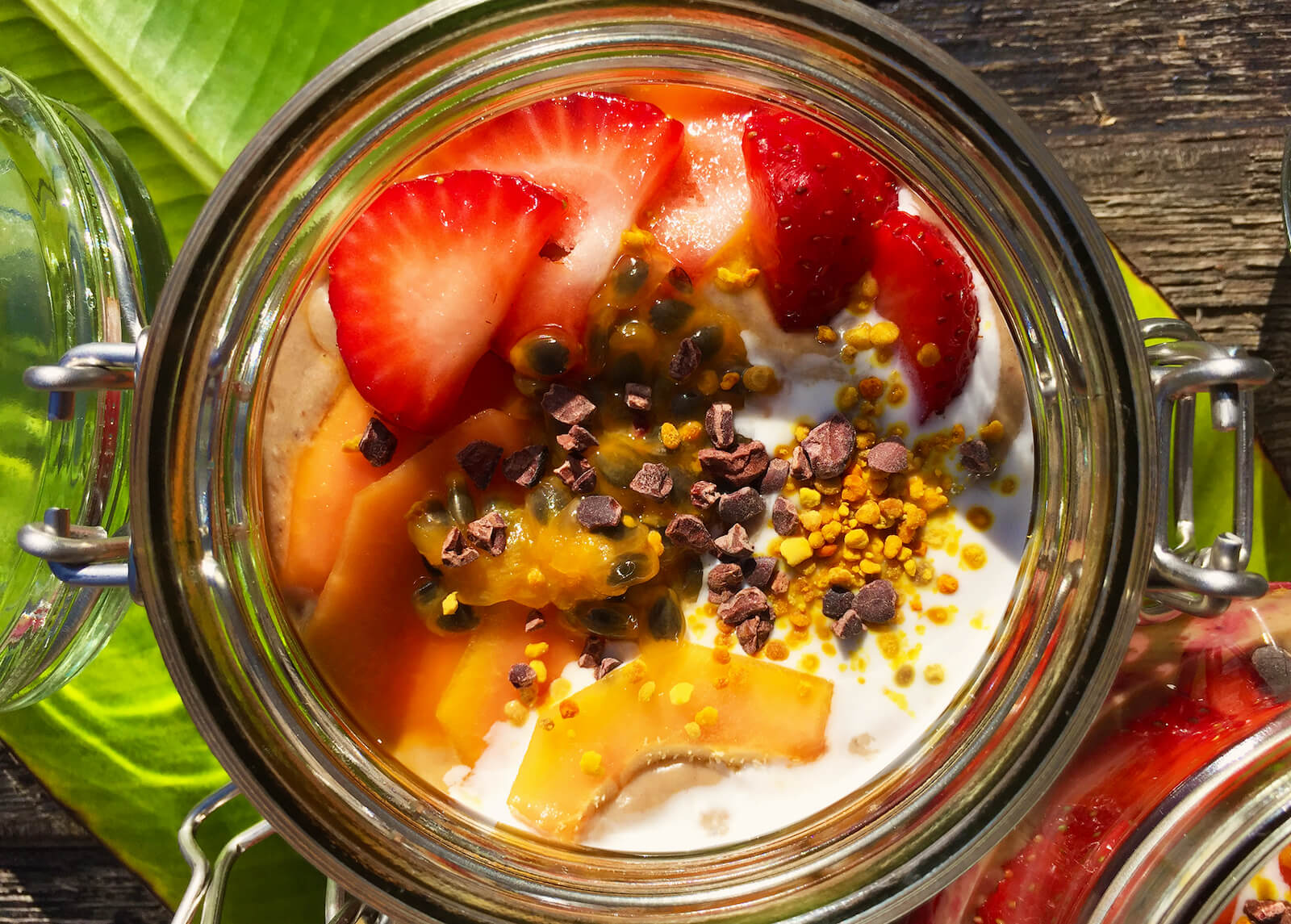 yoga-retreat-portugal-algarve-wolfs-pic-vegan Vegan Yoga Retreat Algarve, Portugal