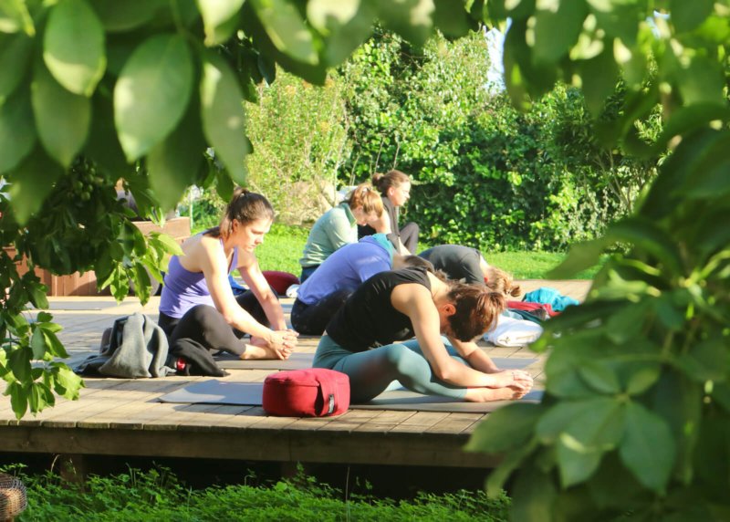 Yin | Wolfs Yoga Retreats Portugal, Algarve