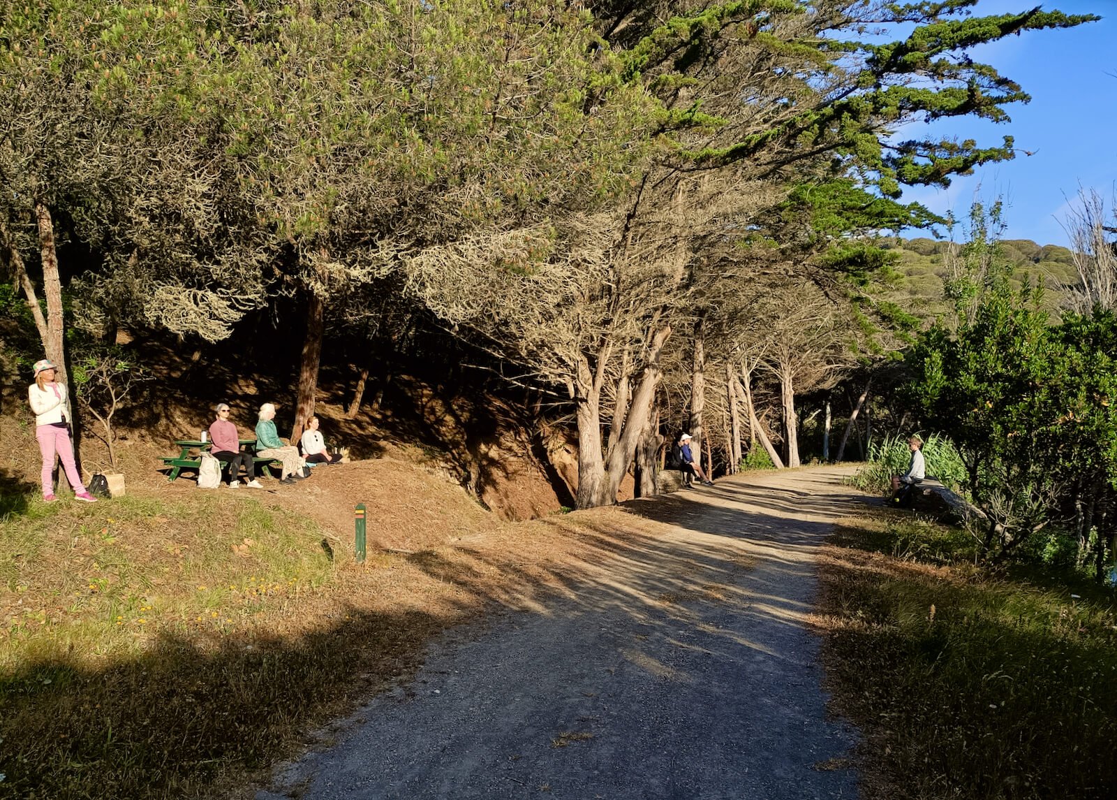 yoga-retreat-portugal-algarve-wolfs-may-forest-meditation The Mindfulness & Yoga Retreat | 13 May 2023