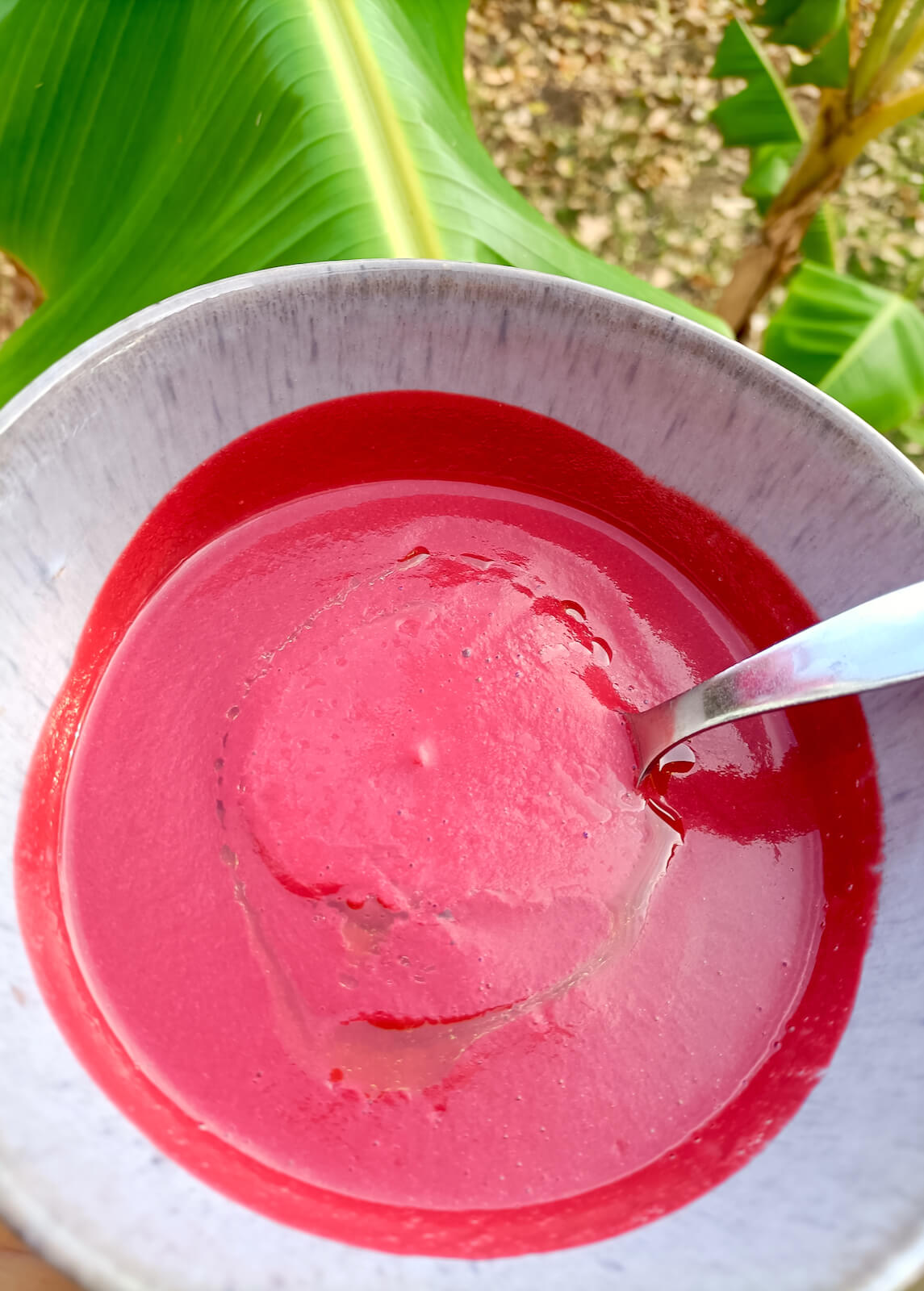 yoga-retreat-portugal-algarve-wolfs-may-soup The Mindfulness & Yoga Retreat | 13 May 2023