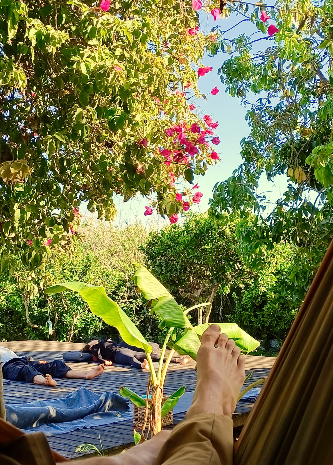 yoga-retreat-portugal-algarve-wolfs-june10-hammock The Heart Retreat | June 10 2023
