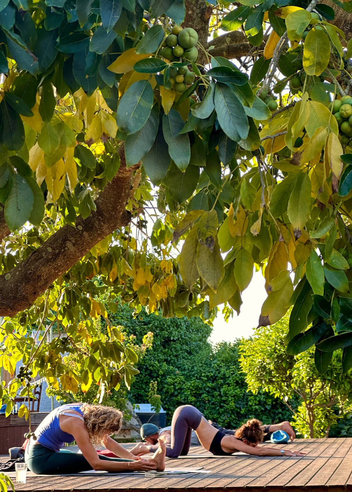 yoga-retreat-portugal-algarve-wolfs-june10-self-practice The Heart Retreat | June 10 2023