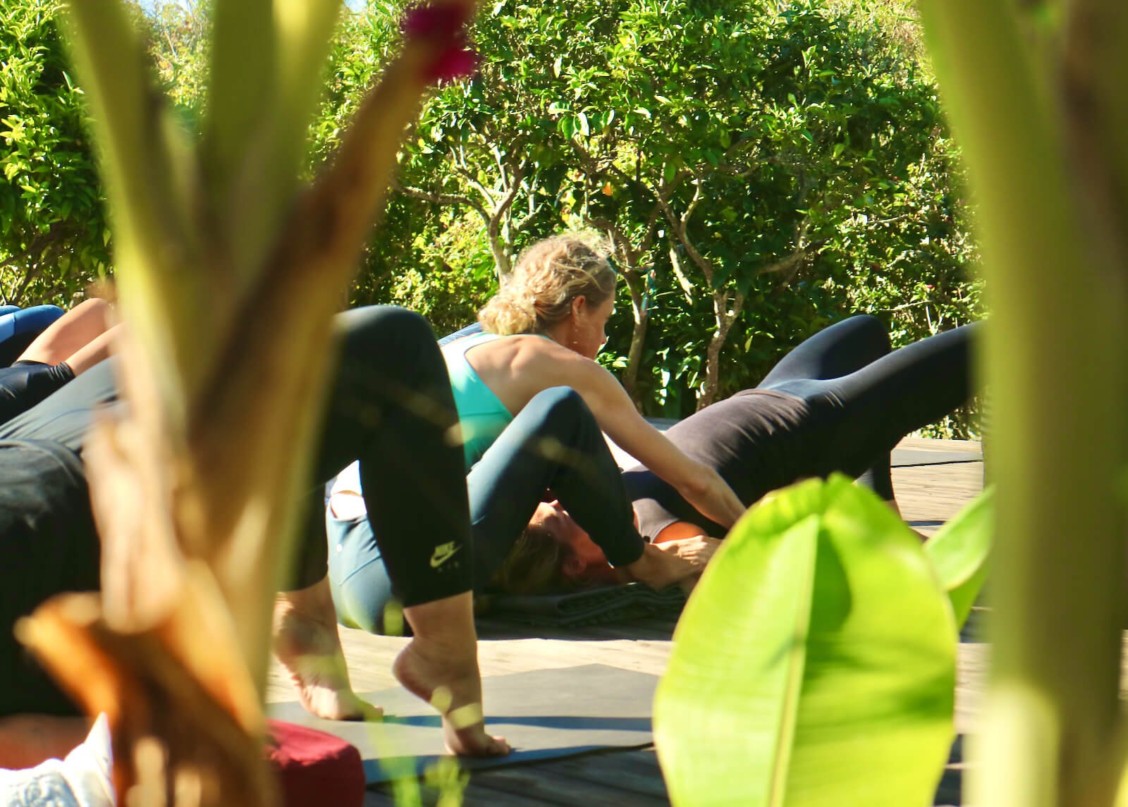 yoga-retreat-portugal-algarve-wolfs-july-lot The Heart Retreat | June 29 2023