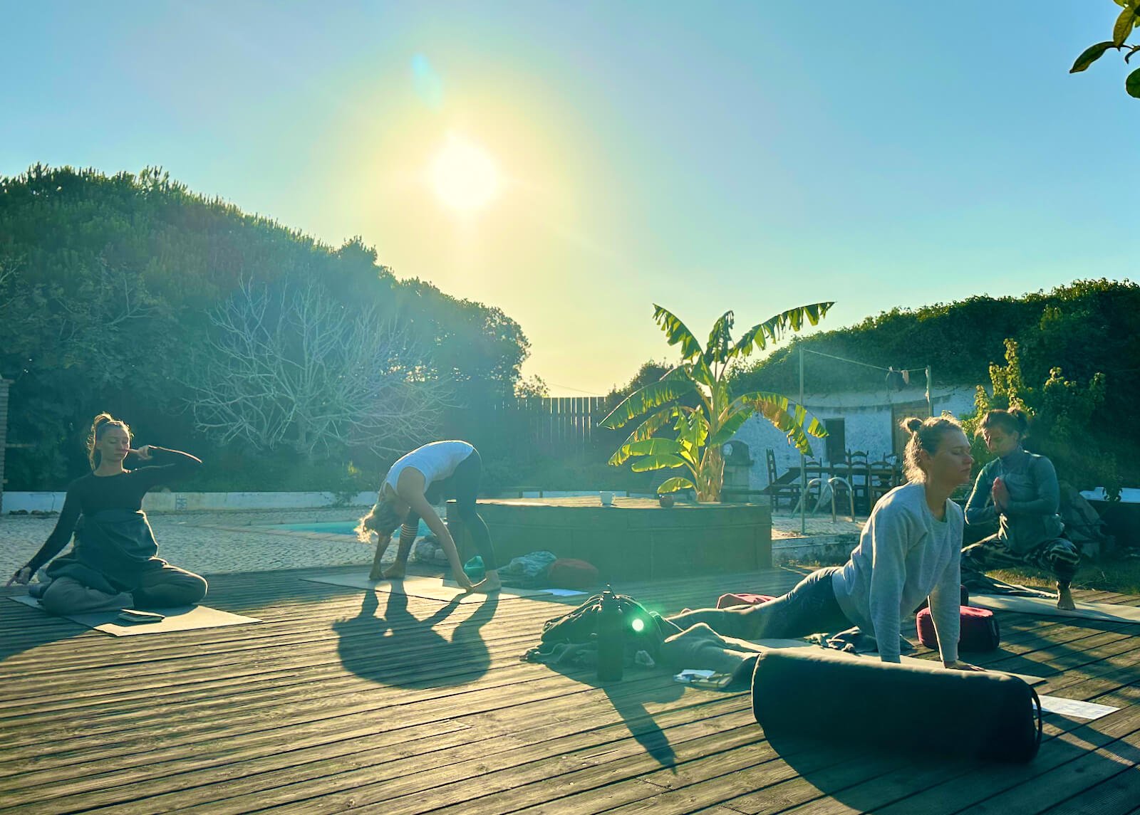 yoga-retreat-portugal-algarve-wolfs-july-self-practice-mysore The Heart Retreat | June 29 2023