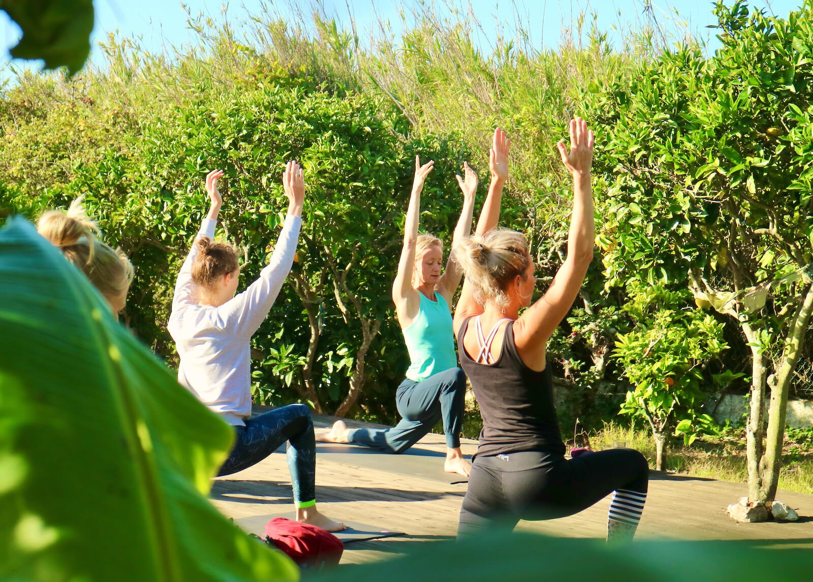 yoga-retreat-portugal-algarve-wolfs-july-vinyasa The Heart Retreat | June 29 2023