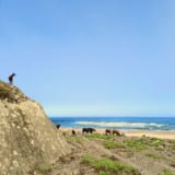 Yin, Yang & Mindfulness Yoga Retreat | June 22 2023 Yin, Yang & Mindfulness Yoga Retreat | June 22 2023