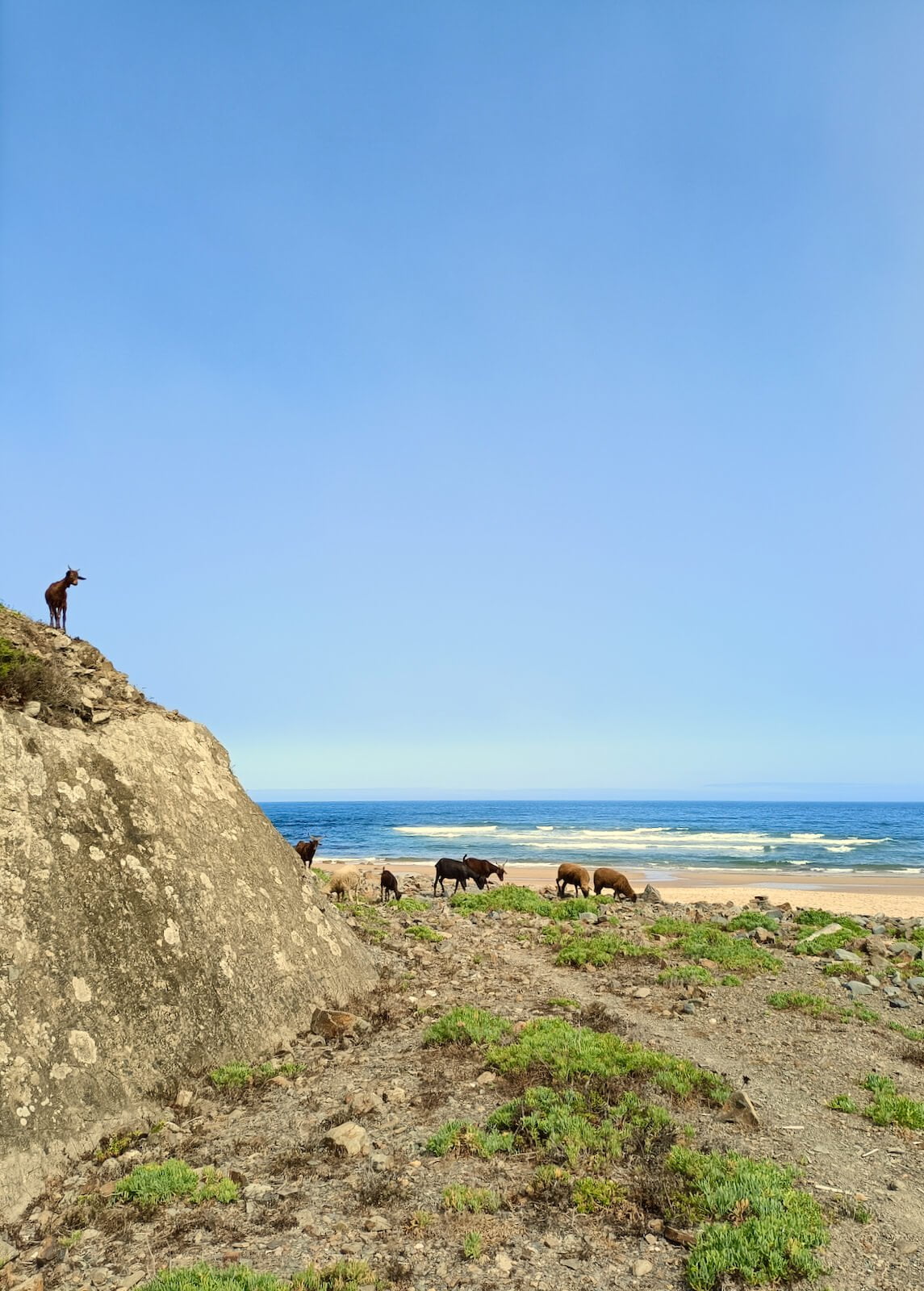 yoga-retreat-portugal-algarve-wolfs-july2-beach Yin, Yang & Mindfulness Yoga Retreat | June 22 2023