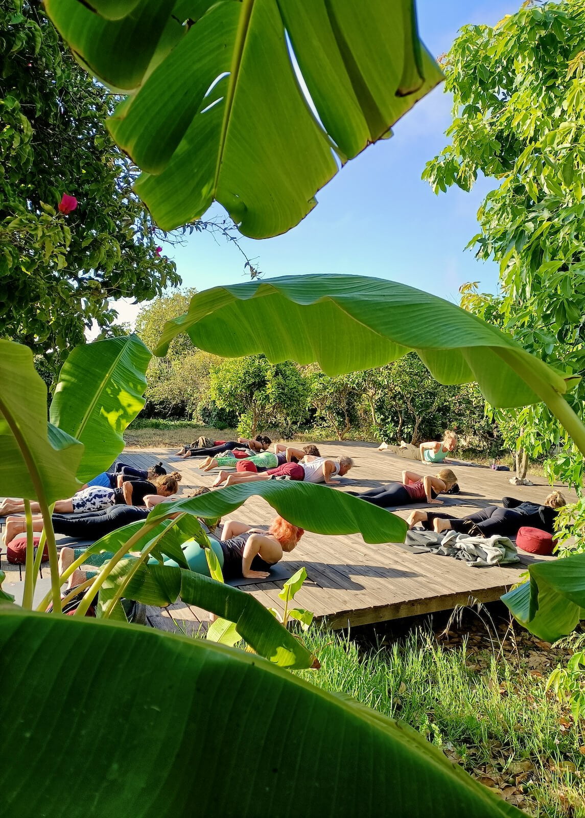 yoga-retreat-portugal-algarve-wolfs-july2-cobra Yin, Yang & Mindfulness Yoga Retreat | June 22 2023