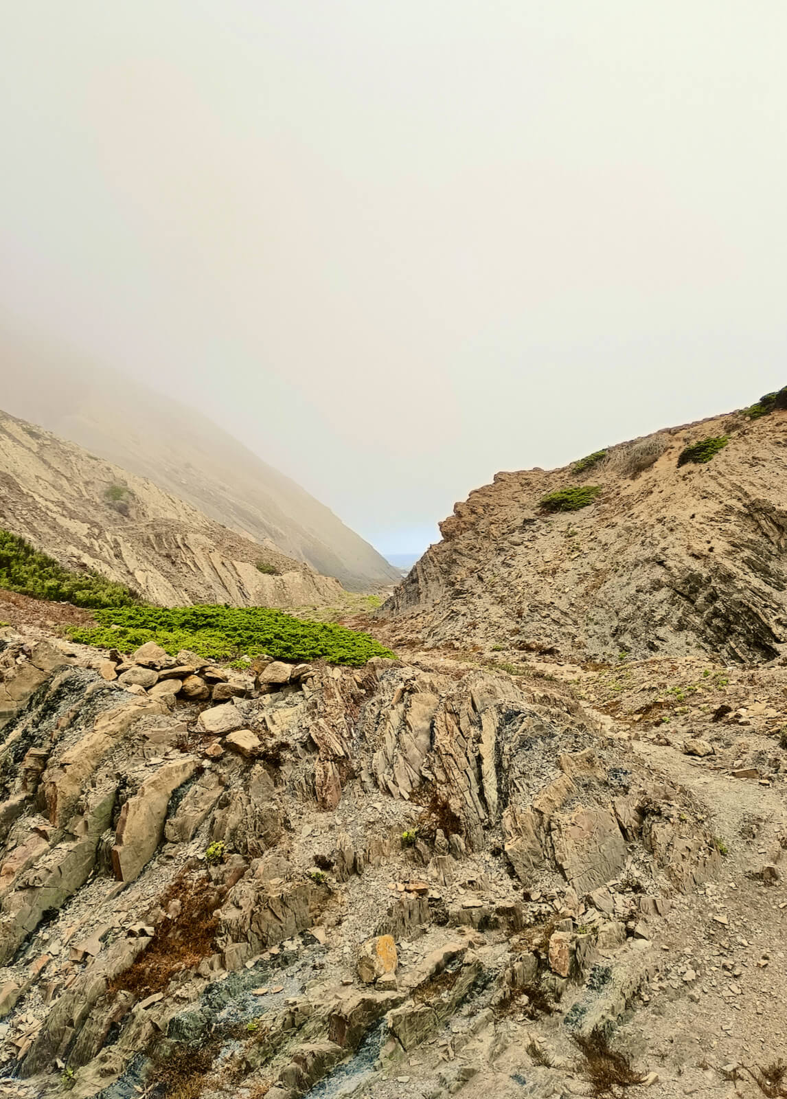 yoga-retreat-portugal-algarve-wolfs-july2-meditation-beach-walk Yin, Yang & Mindfulness Yoga Retreat | June 22 2023