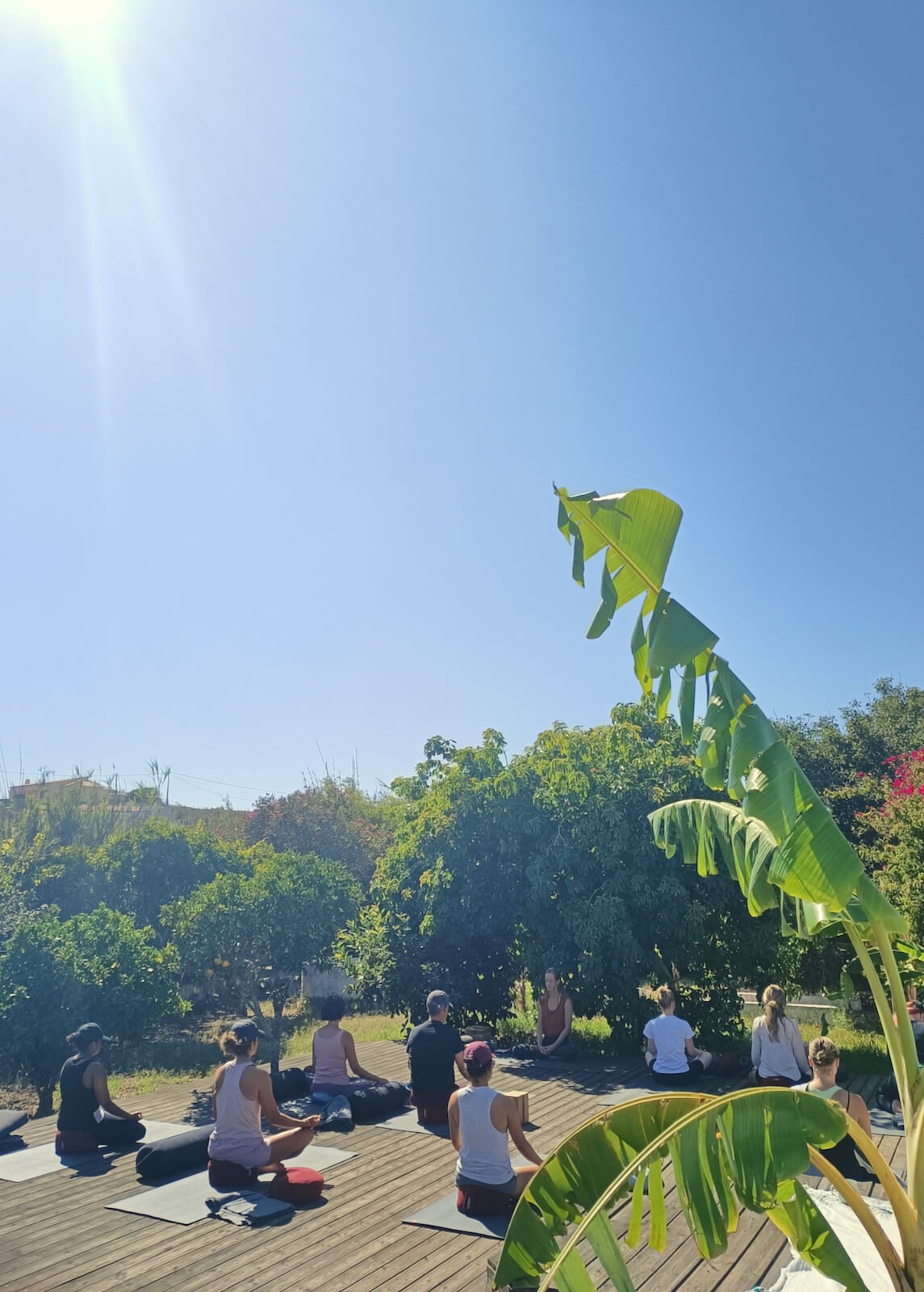 yoga-retreat-portugal-algarve-wolfs-july2-mindfulness Yin, Yang & Mindfulness Yoga Retreat | June 22 2023