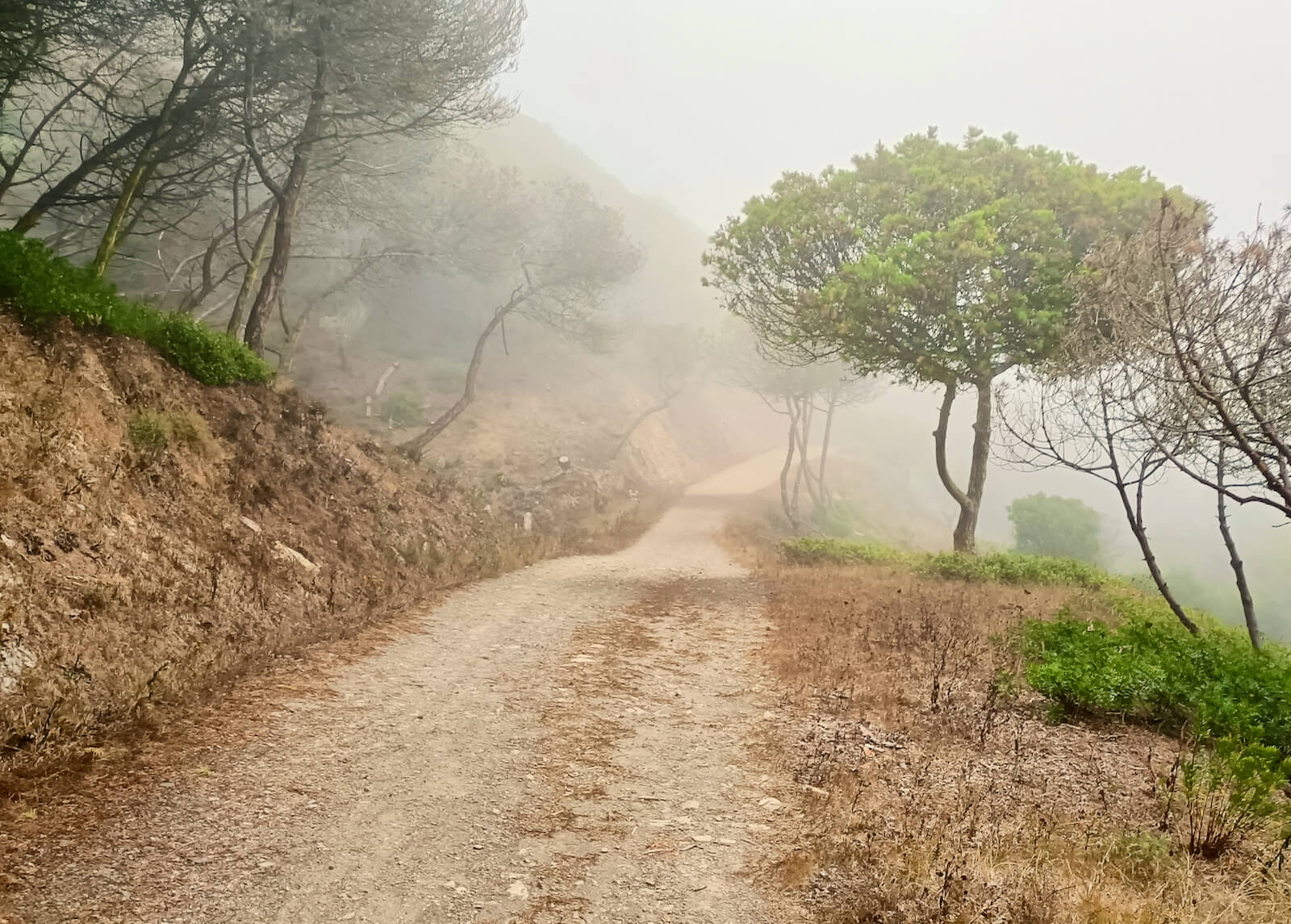 yoga-retreat-portugal-algarve-wolfs-july2-the-path Yin, Yang & Mindfulness Yoga Retreat | June 22 2023