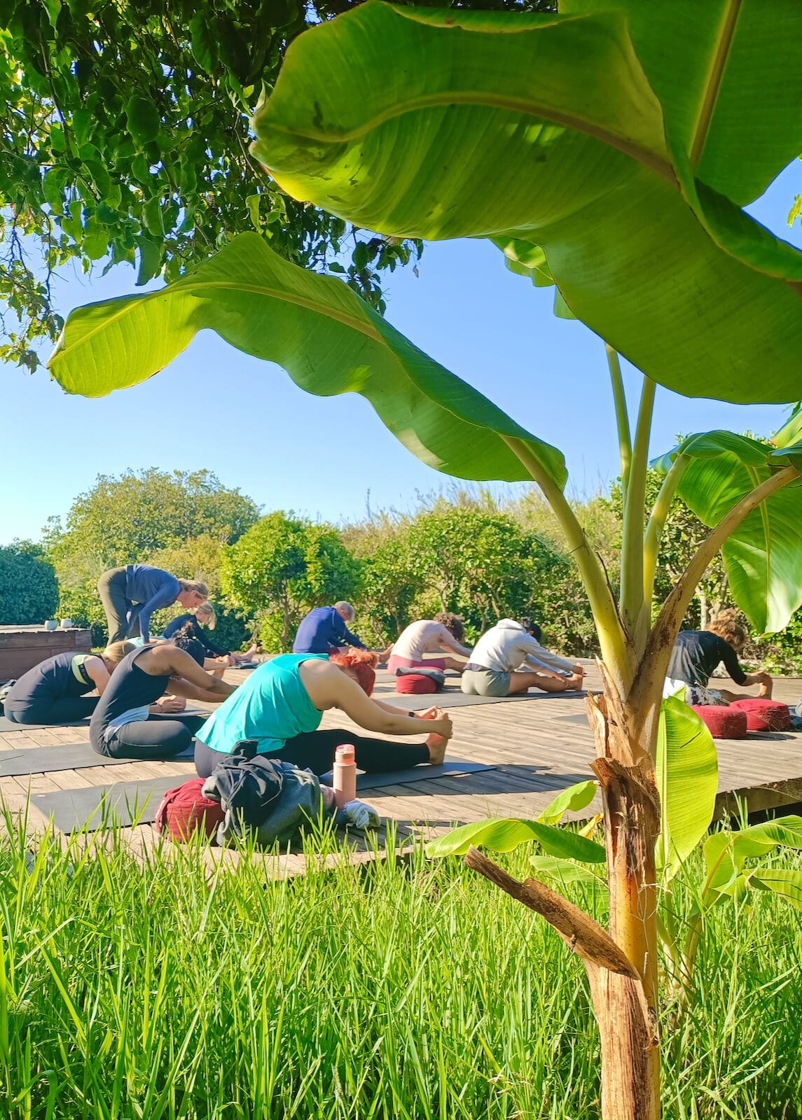 yoga-retreat-portugal-algarve-wolfs-july2-vinyasa Yin, Yang & Mindfulness Yoga Retreat | June 22 2023