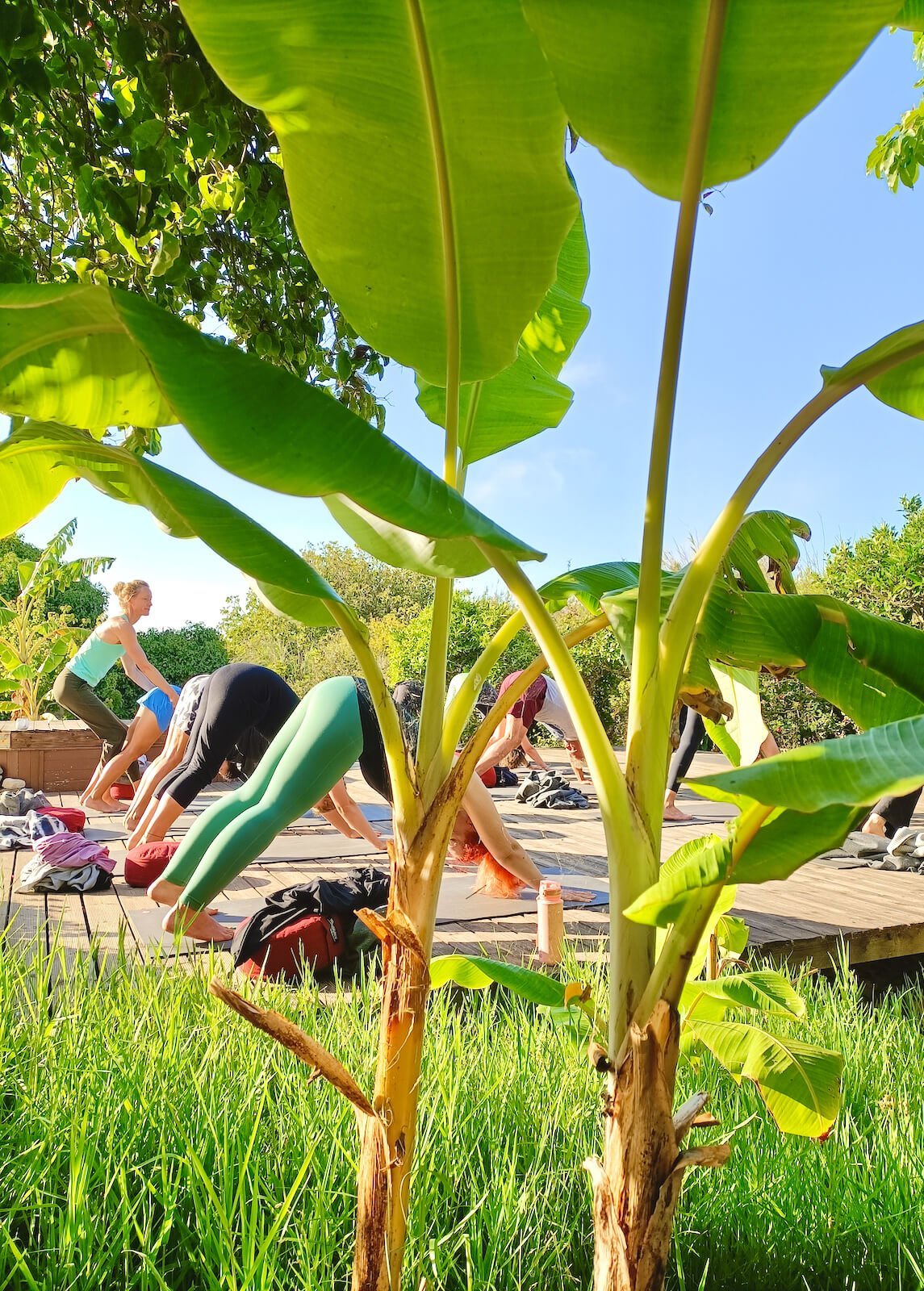 yoga-retreat-portugal-algarve-wolfs-july2-vinyasa-2 Yin, Yang & Mindfulness Yoga Retreat | June 22 2023