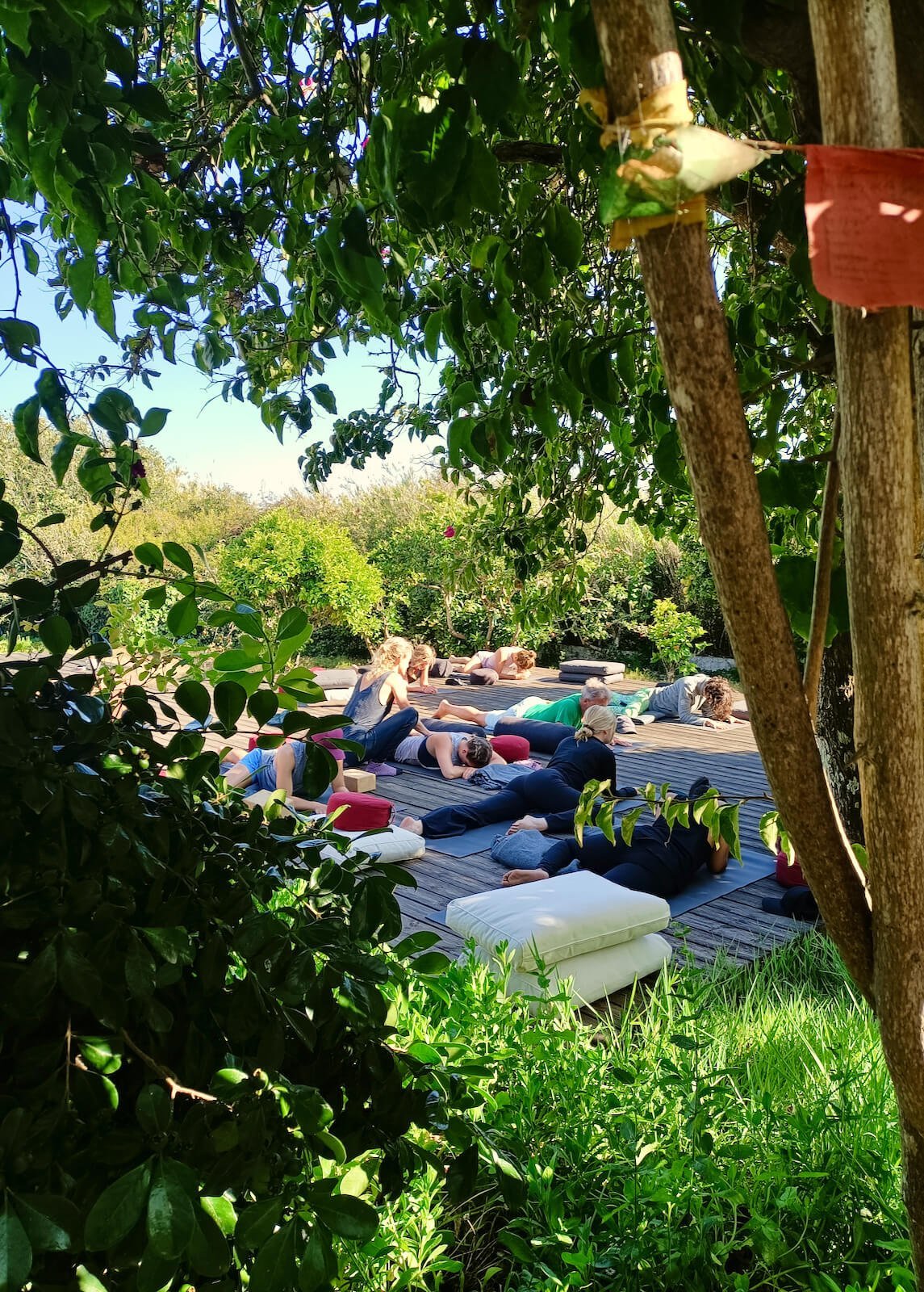 yoga-retreat-portugal-algarve-wolfs-july2-yin Yin, Yang & Mindfulness Yoga Retreat | June 22 2023